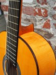 Hernandez_Flamenca_Estudio_5