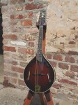 Kentucky_KM505_1