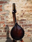 Kentucky_KM505_5