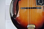 Monteleone_Web_12