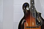 Monteleone_Web_14