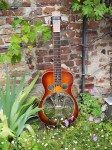 Regal_Dobro_1