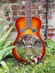 Regal_Dobro_2