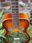 Regal_Dobro_3