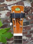 Regal_Dobro_4