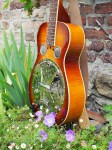 Regal_Dobro_5