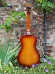 Regal_Dobro_6