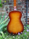 Regal_Dobro_7