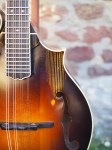 Weber_YellowstoneDistressed_4