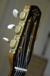 XO-Head-2011.jpg