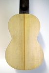 Sopran Ukulele - Weide/Ahorn