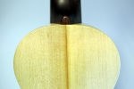 Sopran Ukulele - Weide/Ahorn